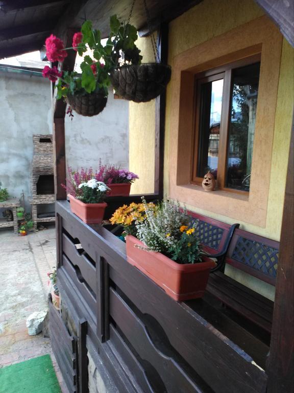 Vila Dariana วาตราดอร์เนย์ ภายนอก รูปภาพ